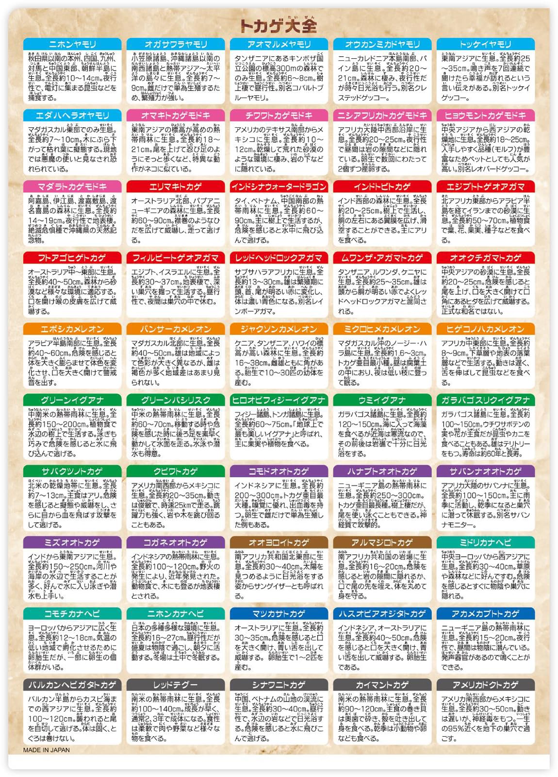 トカゲの王 クリアファイル Amazon.co.jp: ザ・アクセス The ACCESS クリアファイル トカゲ A4